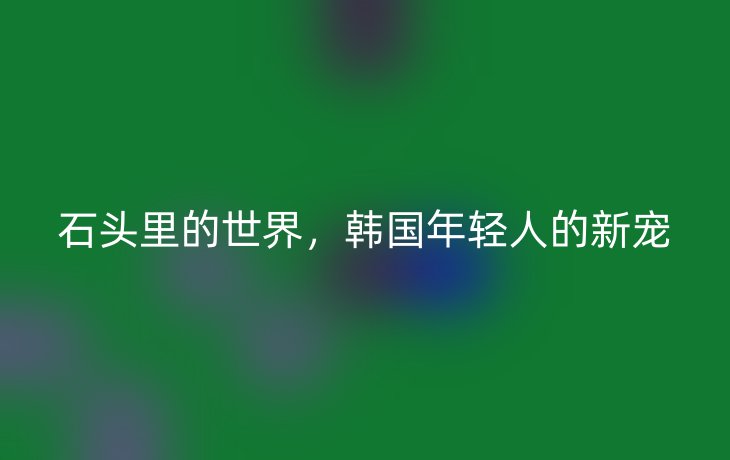 石头里的世界,韩国年轻人的新宠