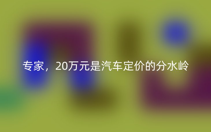 专家,20万元是汽车定价的分水岭