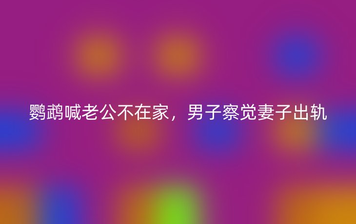 鹦鹉喊老公不在家,男子察觉妻子出轨