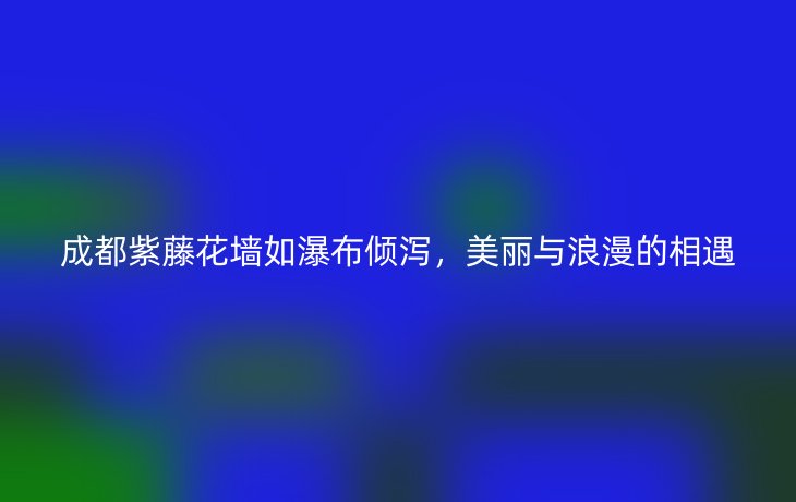 成都紫藤花墙如瀑布倾泻,美丽与浪漫的相遇