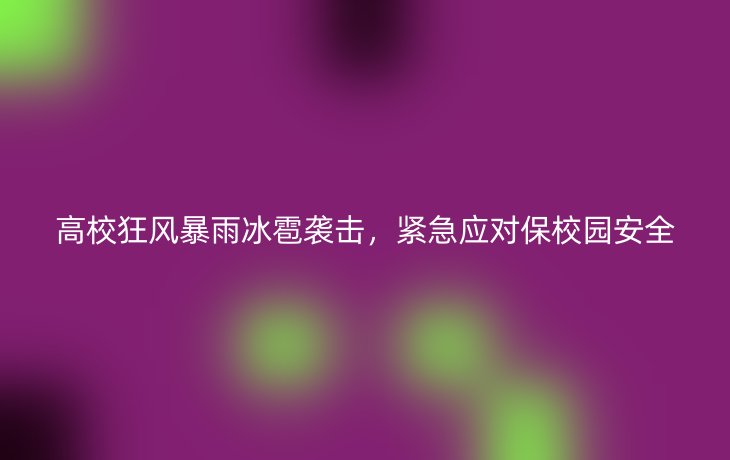 高校狂风暴雨冰雹袭击,紧急应对保校园安全