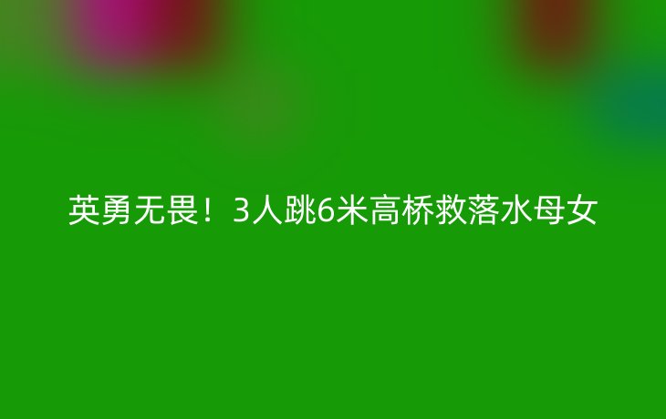 英勇无畏!3人跳6米高桥救落水母女