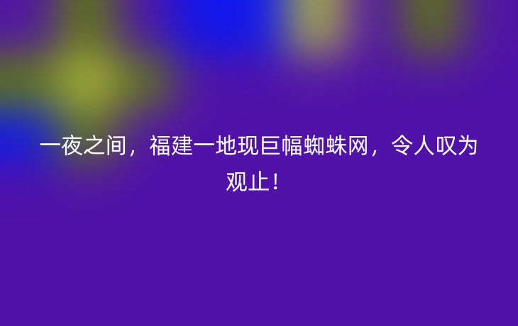 一夜之间，福建一地现巨幅蜘蛛网，令人叹为观止！
