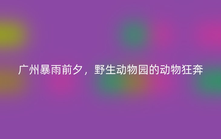 广州暴雨前夕,野生动物园的动物狂奔