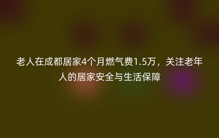 老人在成都居家4个月燃气费1.5万,关注老年人的居家安全与生活保障