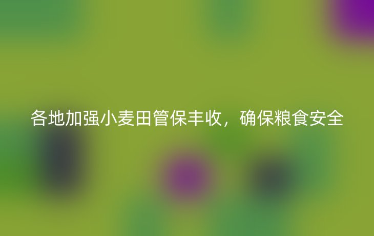 各地加强小麦田管保丰收,确保粮食安全