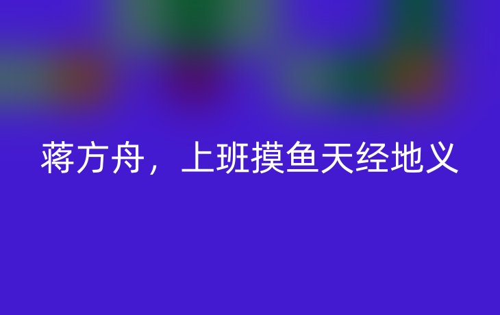 蒋方舟,上班摸鱼天经地义