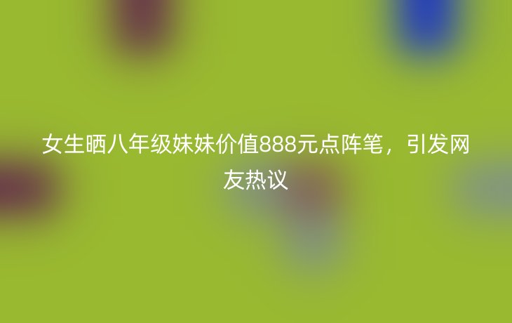 女生晒八年级妹妹价值888元点阵笔,引发网友热议