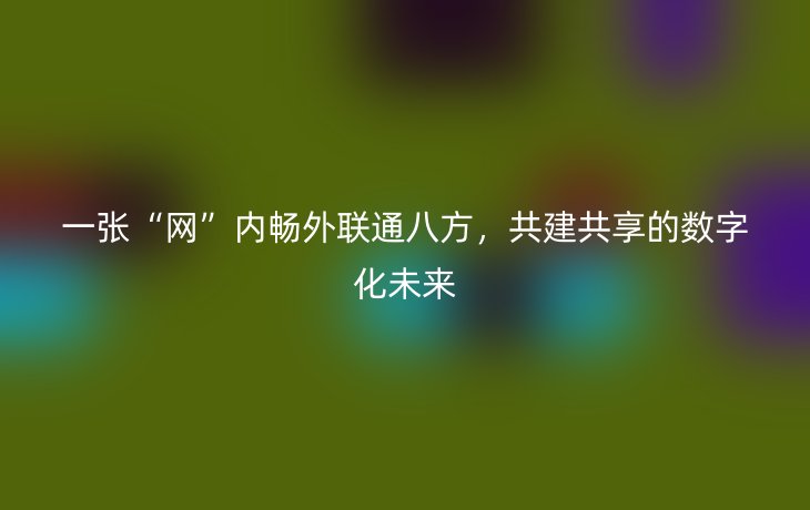 一张“网”内畅外联通八方,共建共享的数字化未来