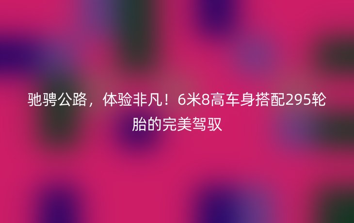 驰骋公路,体验非凡!6米8高车身搭配295轮胎的完美驾驭
