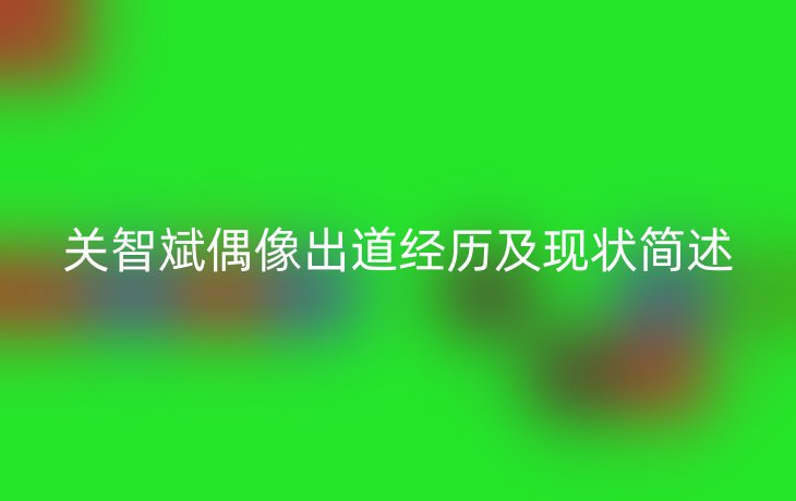 关智斌偶像出道经历及现状简述