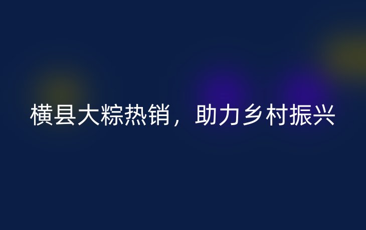 横县大粽热销,助力乡村振兴