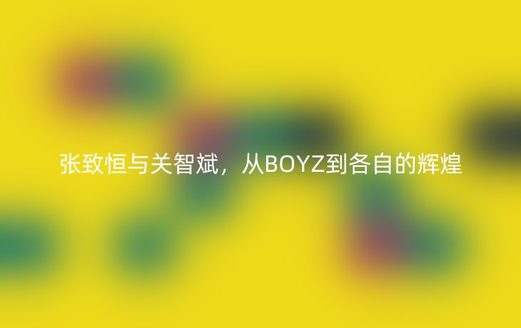 张致恒与关智斌,从BOYZ到各自的辉煌