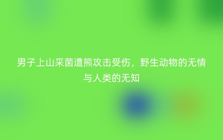 男子上山采菌遭熊攻击受伤,野生动物的无情与人类的无知