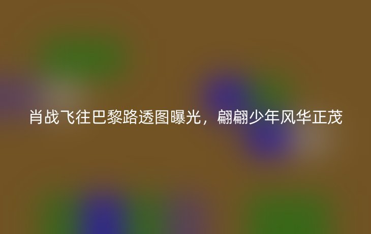 肖战飞往巴黎路透图曝光,翩翩少年风华正茂