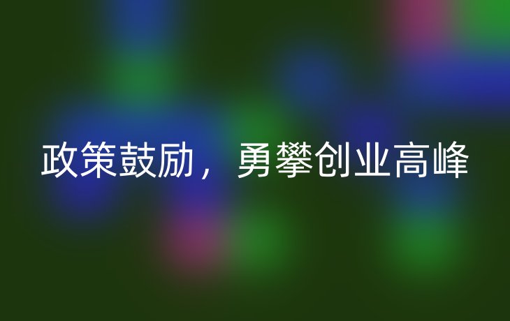 政策鼓励,勇攀创业高峰