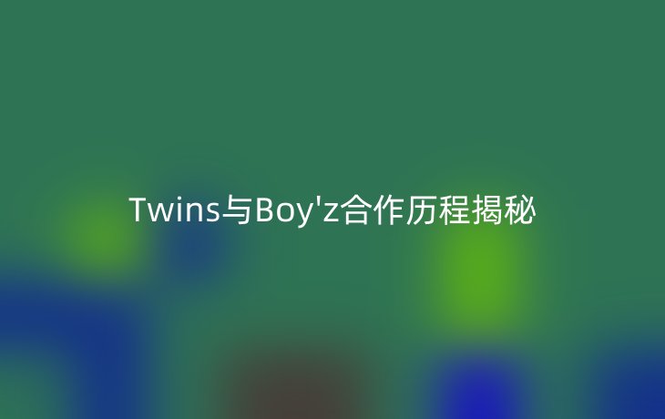Twins与Boy'z合作历程揭秘