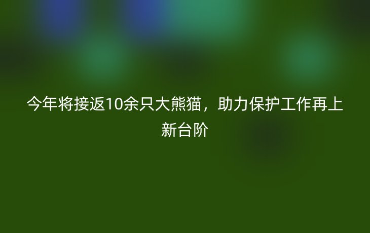 今年将接返10余只大熊猫,助力保护工作再上新台阶