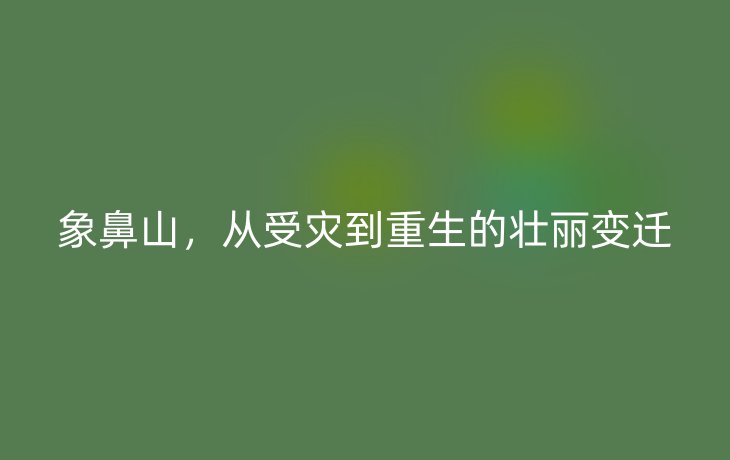 象鼻山,从受灾到重生的壮丽变迁