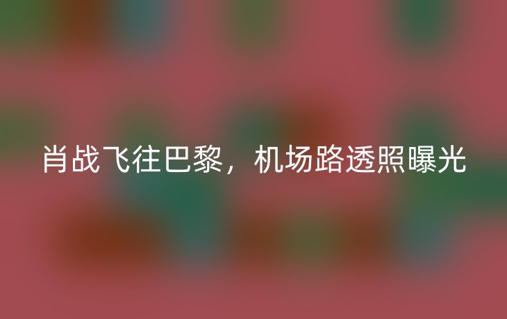 肖战飞往巴黎，机场路透照曝光