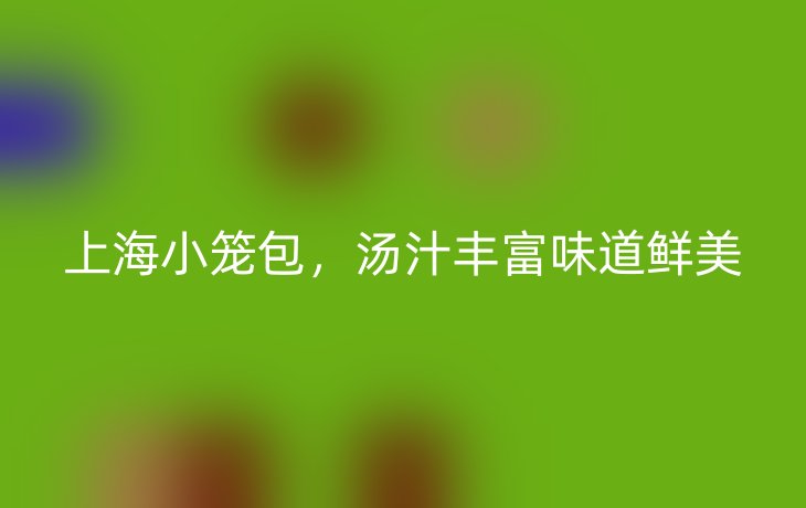 上海小笼包，汤汁丰富味道鲜美