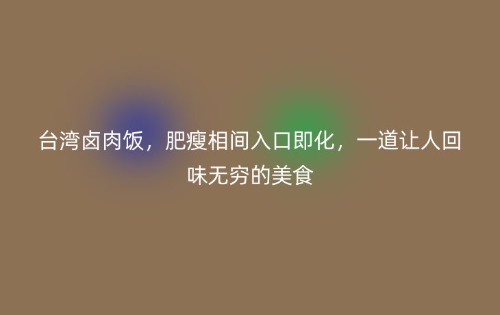 台湾卤肉饭，肥瘦相间入口即化，一道让人回味无穷的美食
