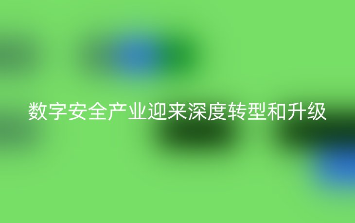 数字安全产业迎来深度转型和升级