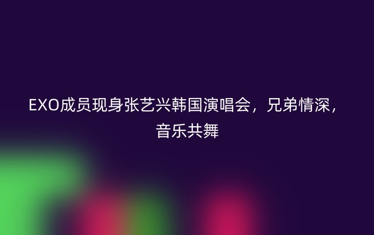 EXO成员现身张艺兴韩国演唱会，兄弟情深，音乐共舞