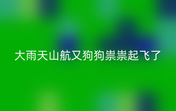 大雨天山航又狗狗祟祟起飞了