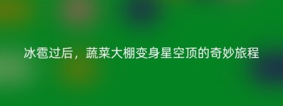 冰雹过后，蔬菜大棚变身星空顶的奇妙旅程