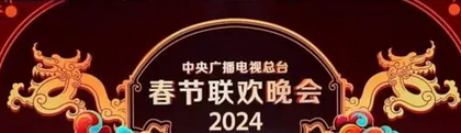 北京青年报：于蕾拟任2024龙年央视春晚总导演