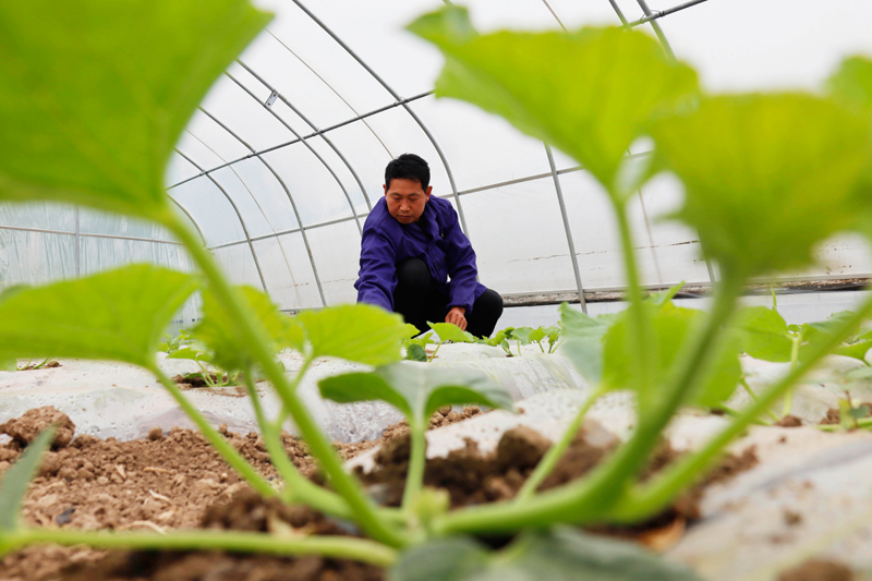 农业银行中国银行_农业银行中国银行哪个好_中国农业银行