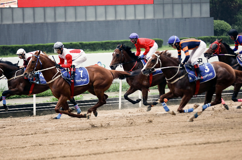 夜问锦欧赛挑鞋哪几_英锦赛_夜问锦欧赛主持人挑鞋