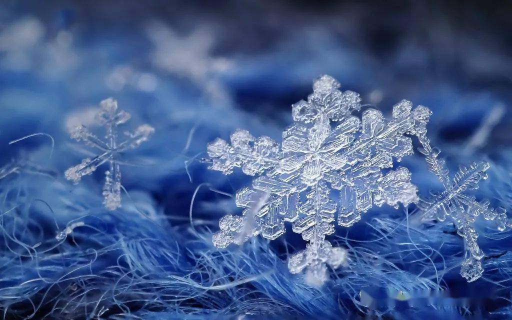 粉雪啥意思_粉雪日语歌_粉雪