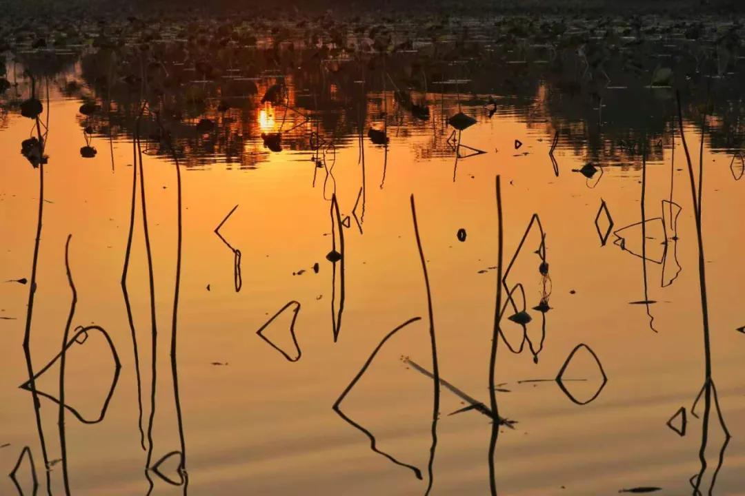 游本昌_游本昌_游本昌