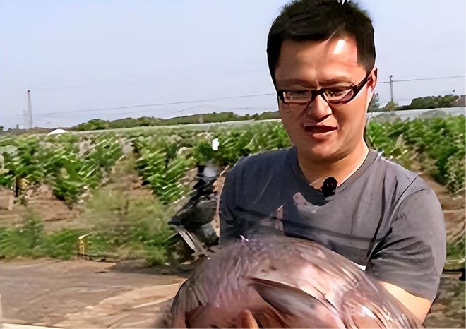 五常大米假冒视频_王海举报小杨哥带货假五常大米热_五常假大米去哪举报