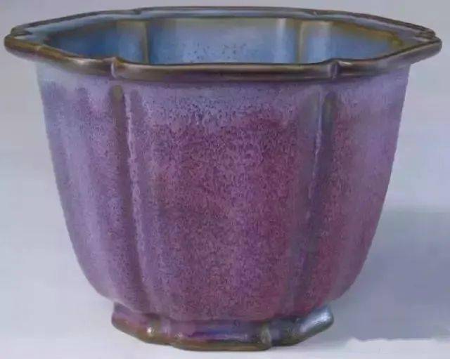 幻兽帕鲁帕_鲁帕岛_帕鲁