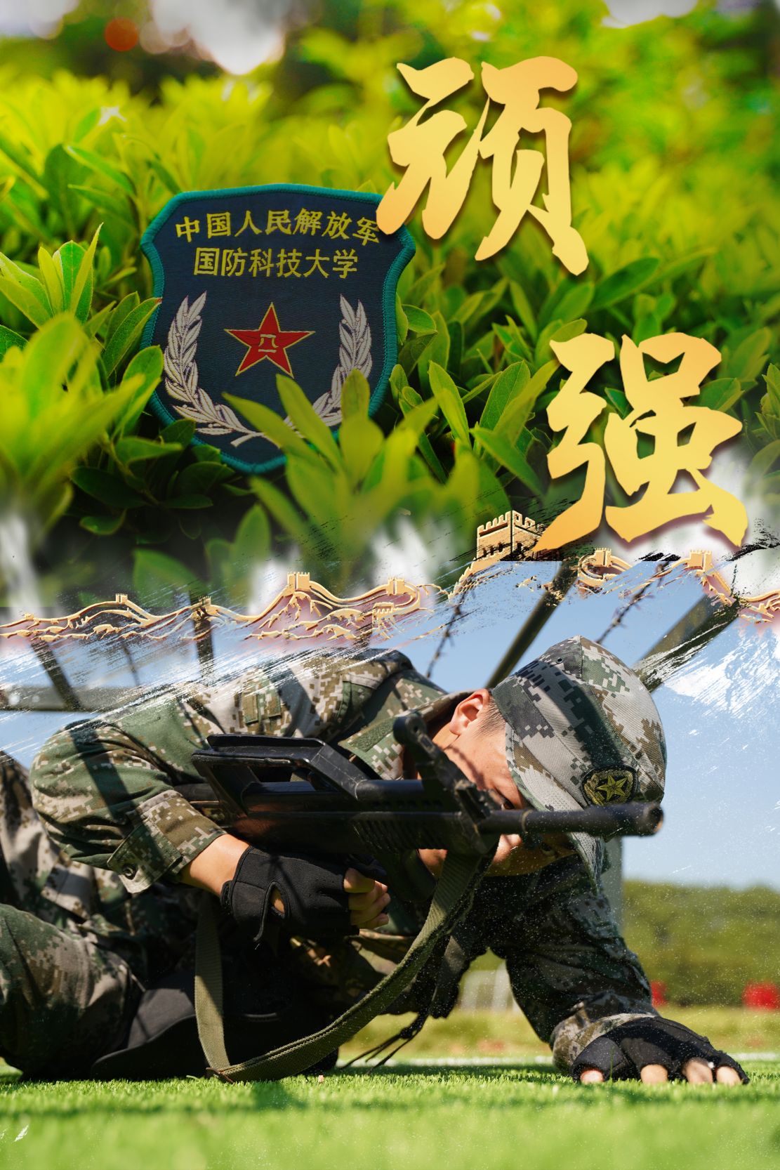 刘亦婷_刘亦婷现状如何_刘亦婷哈佛女孩