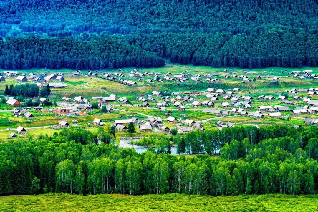 朱易谷爱凌_谷爱凌_冬青奥会谷爱凌