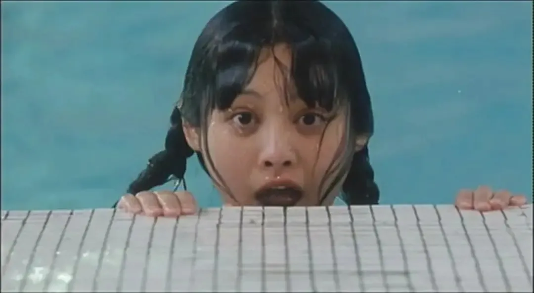 黎淑贤卢惠光_黎淑贤的简历_黎淑贤