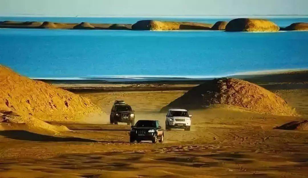 途高国际_途高教育_高途