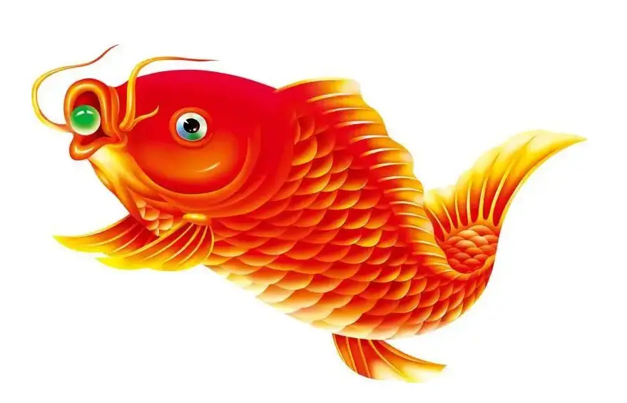 郑晓龙导演的作品_郑晓龙的妻子_郑晓龙