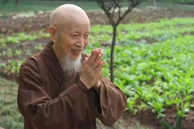 游本昌_游本昌_游本昌