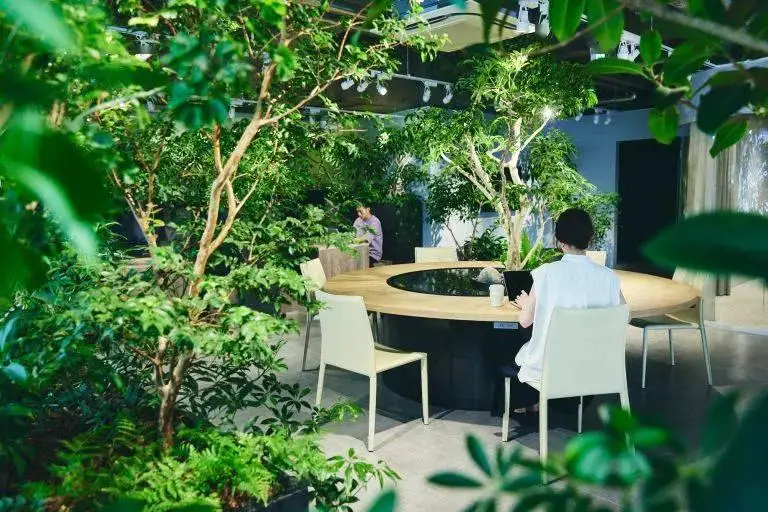 YouTube_YouTube_YouTube