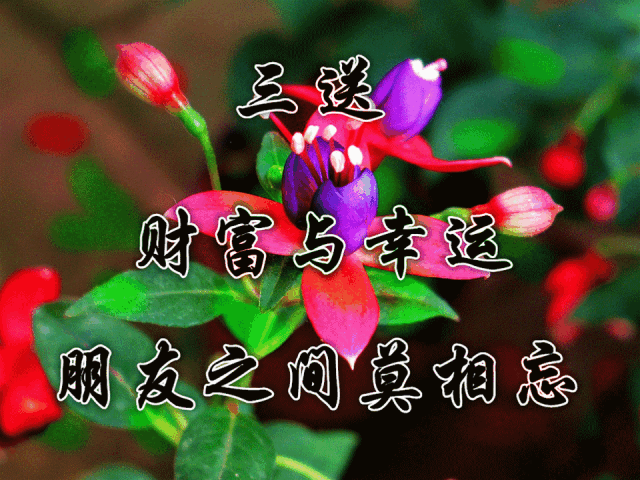 元旦快乐的祝福语_元旦快乐图片大全_元旦快乐