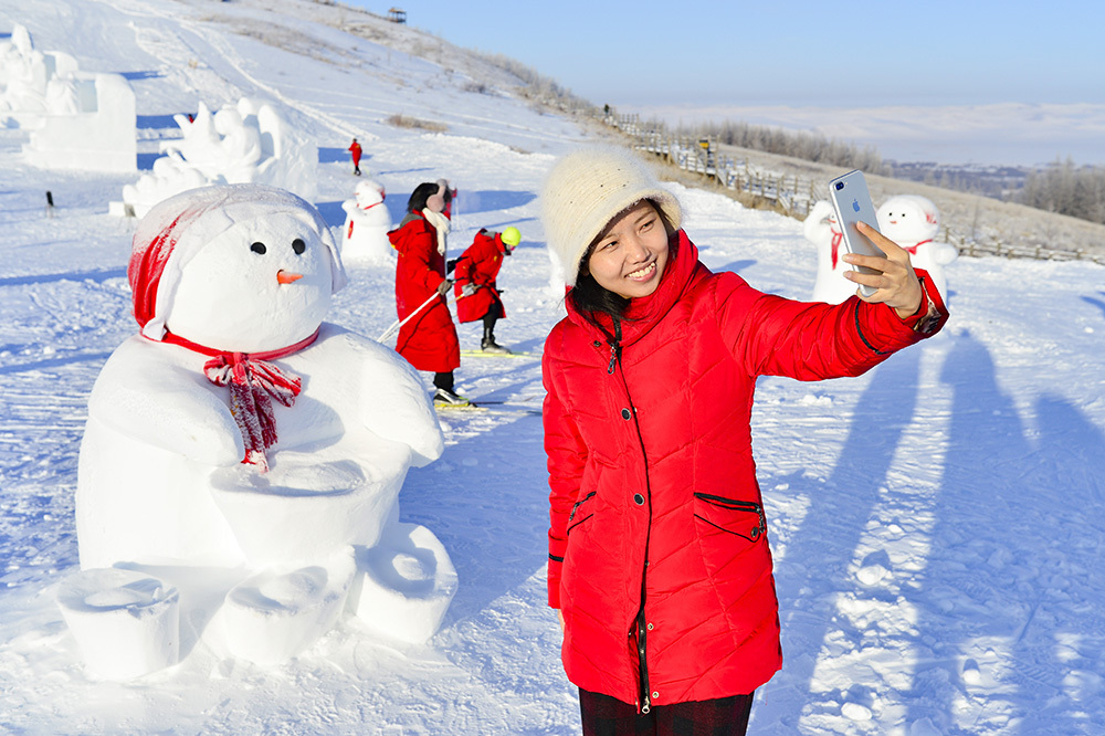冬凌草的功效与作用_冬虫夏草_十四冬