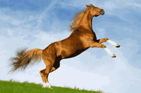 暴雪预警信号分四级_暴雪几分_在暴雪时分