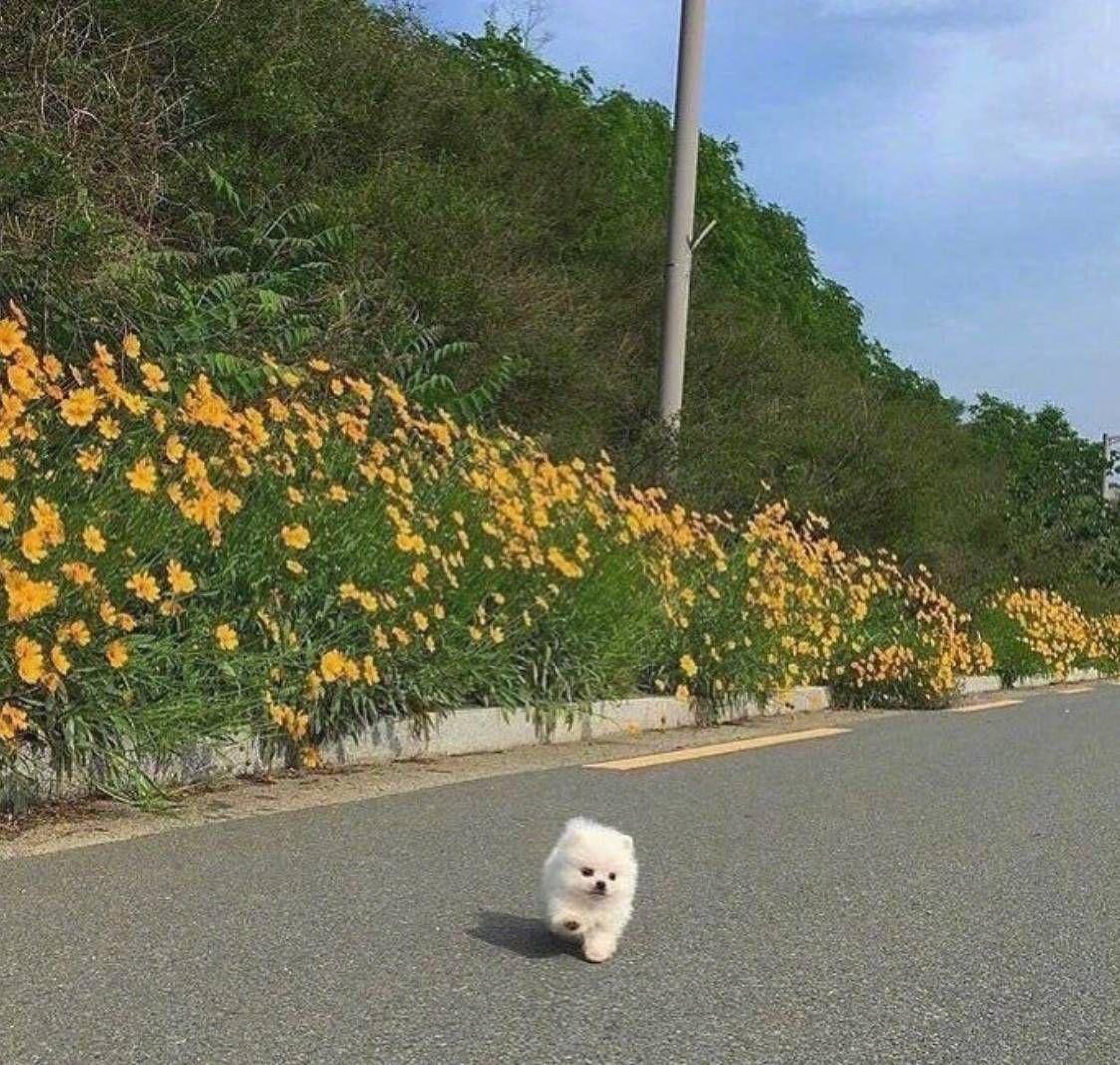 李李_李菲_李李李由图片